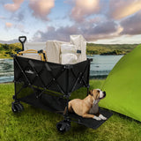 Lambu Folding Wagon Cart Double Shelves-1942353683513741318